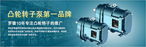 羅德轉(zhuǎn)子泵與南方某電機(jī)廠家技術(shù)交流，討論合作.